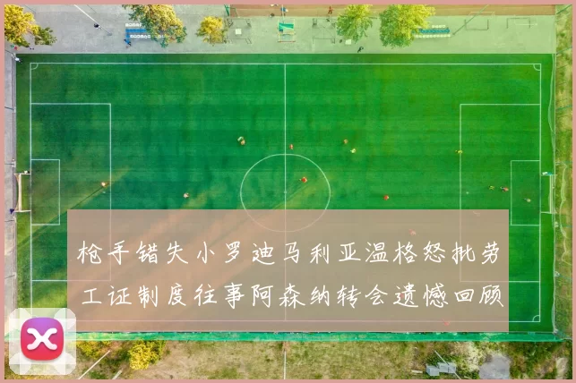 枪手错失小罗迪马利亚温格怒批劳工证制度往事阿森纳转会遗憾回顾