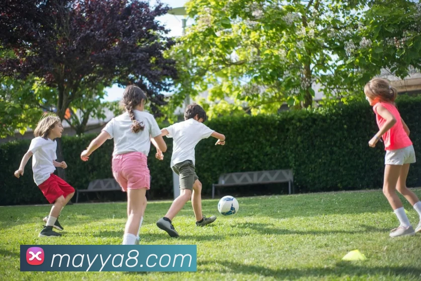 玛雅吧官网平台生态图